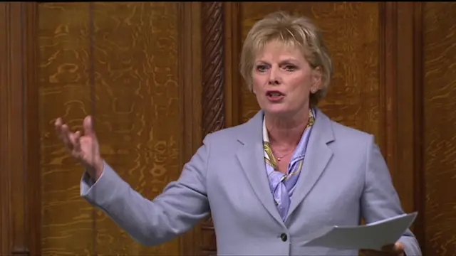 Anna Soubry