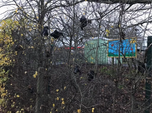 Poo bags hanging by a primary school