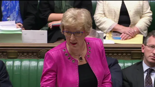 Leader of the House Andrea Leadsom