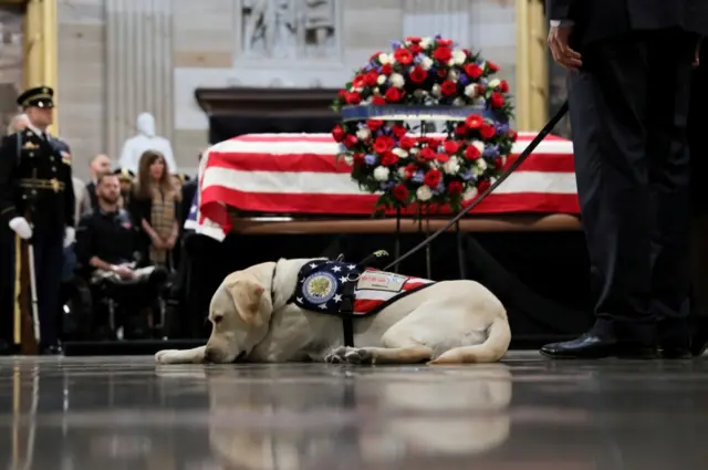 Sully the service dog of former U.S. President George H.W. Bush lays in front of Bush"s casket as it lies in state inside the U.S. Capitol Rotunda on Capitol Hill in Washington