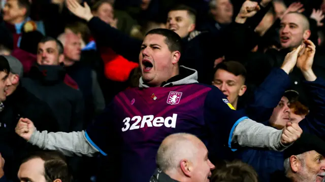 Aston Villa fan