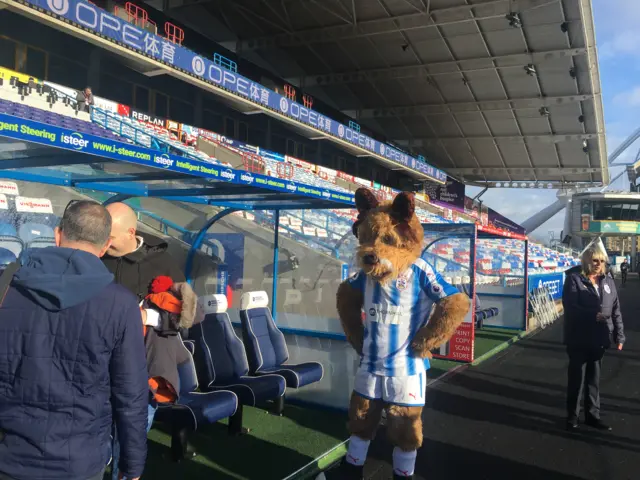 Huddersfield mascot