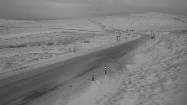 Cat and Fiddle road