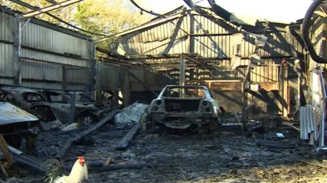 The horses had been living at the back of the barn