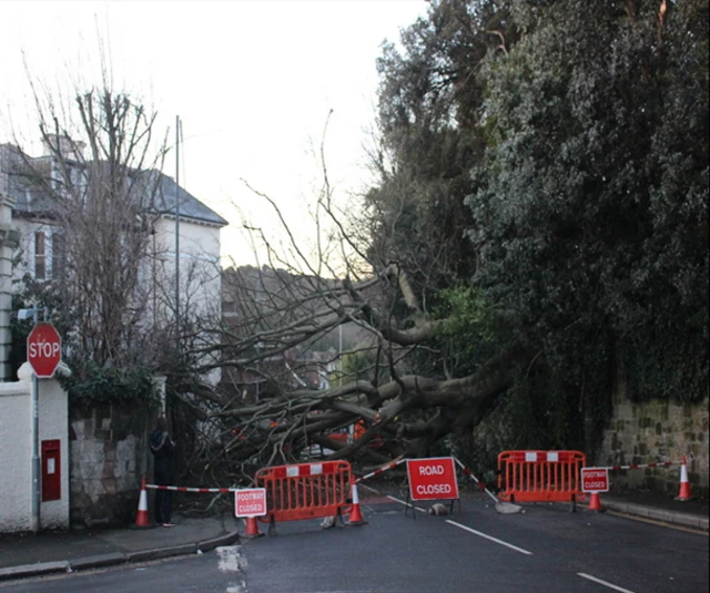 The A259 closure