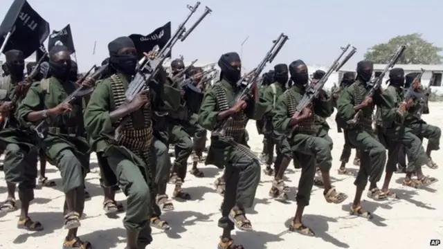 Al-Shabab militants