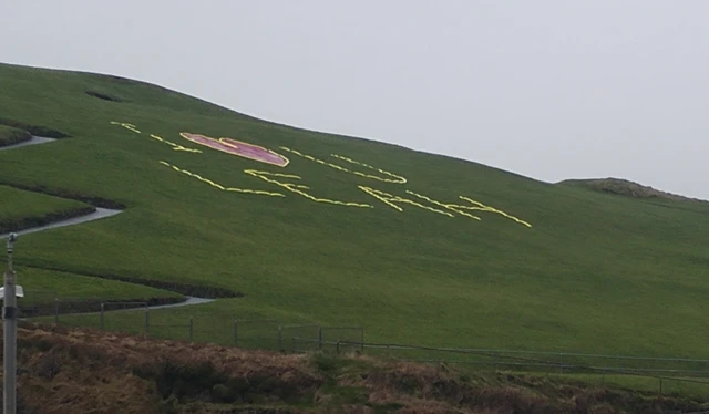 message on field