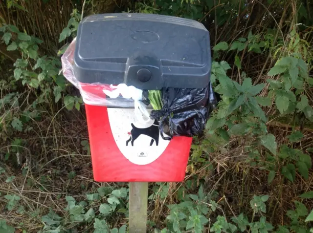 dog litter in bin