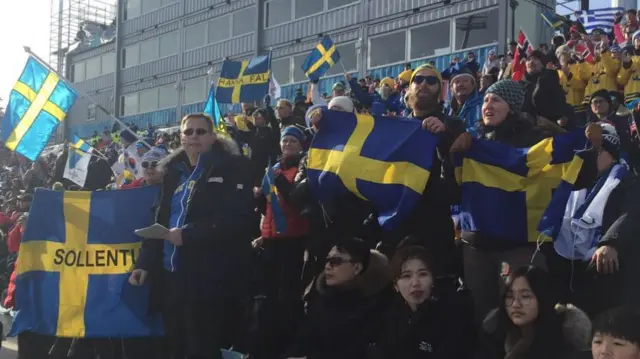 Sweden fans