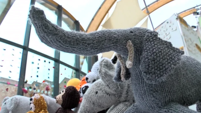 Woolly Zoo display at Hull History Centre