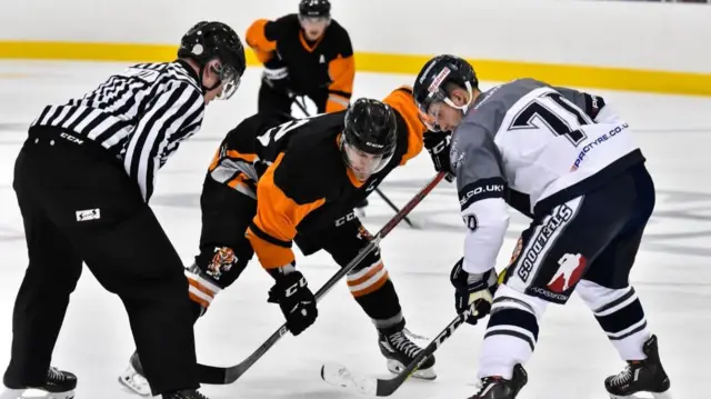 Tigers vs Steeldogs