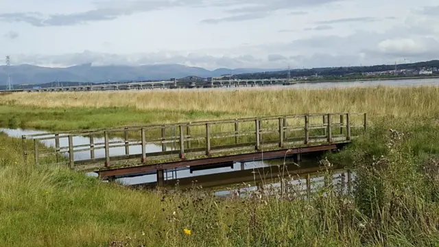 Skinflats: Out of Doors Goes Forth II