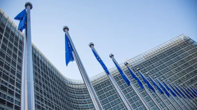 EU flags in Brussels