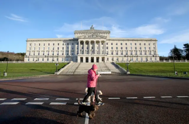 Man walking dog at Stormont