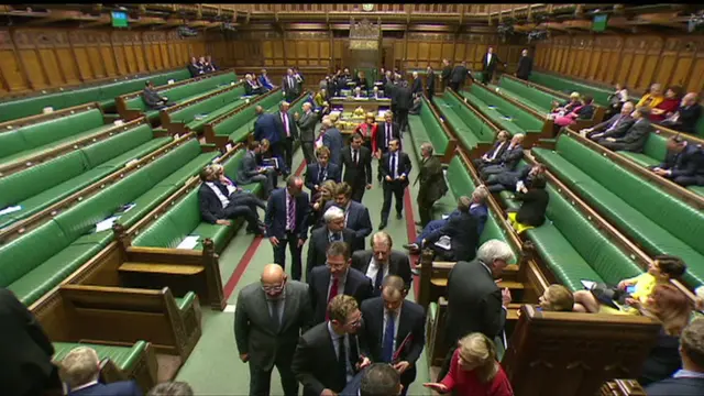 MPs voting