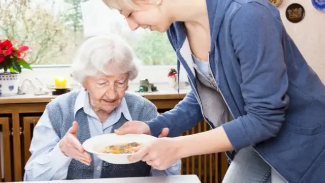 Meals on wheels service, RVS