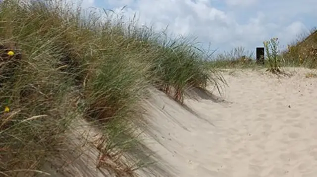 sand dune