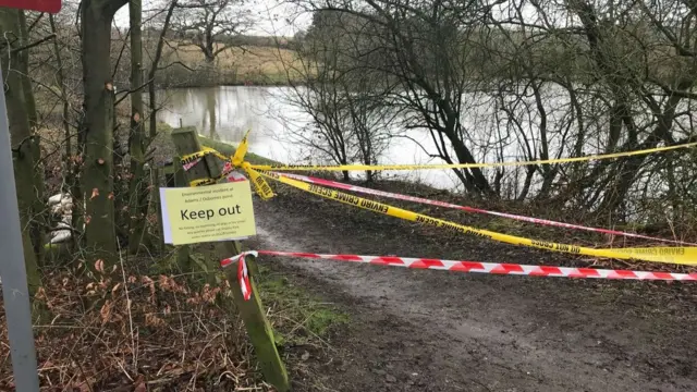 Pond at Shipley Country Park