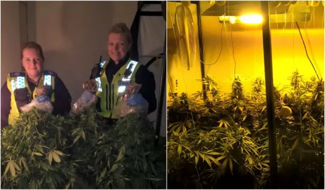 Police officers at cannabis farm