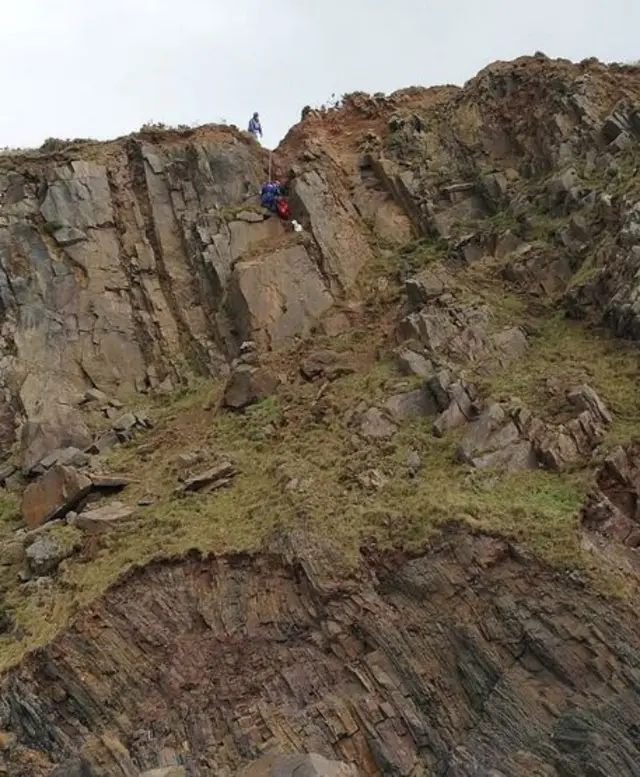 Dog being rescued from cliffs in Devon