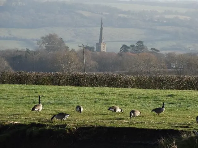 Severn Stoke