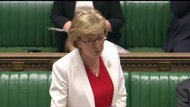 Andrea Leadsom