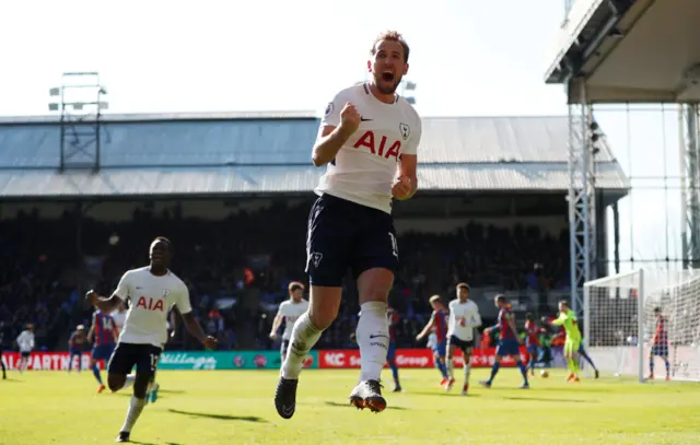 Harry Kane celebrates