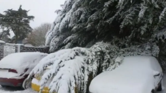 Snow on cars