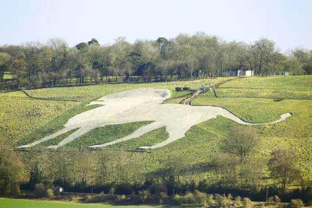 Whipsnade chalk lion after clearance work