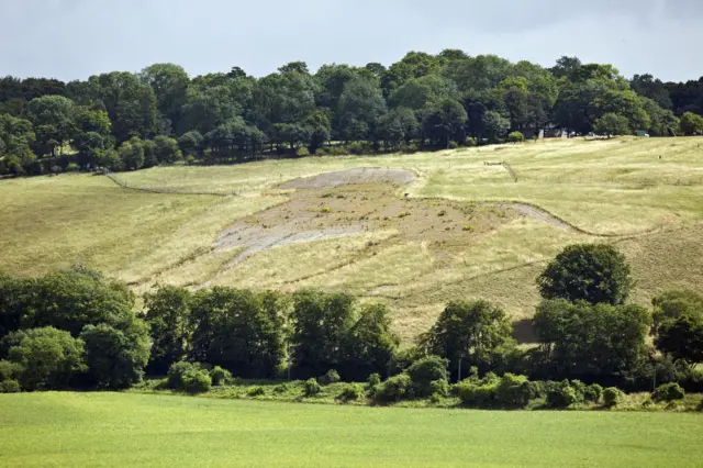 Whipsnade chalk lion before clearance work