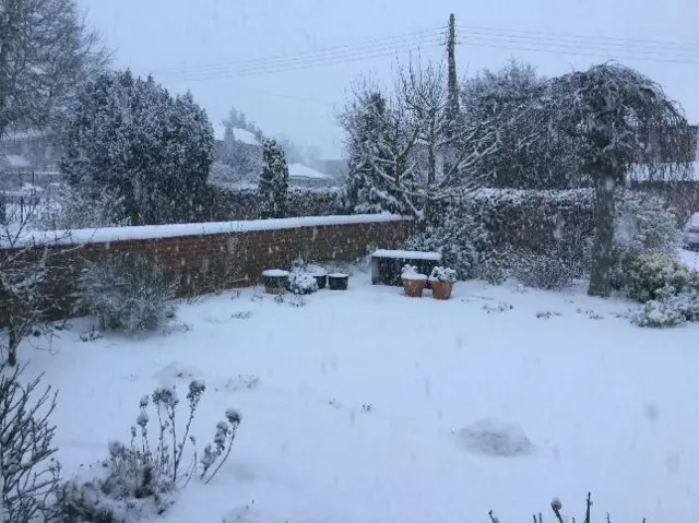 Colin's Courtyard, Diss