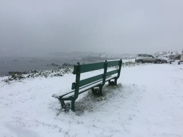 Guernsey in snow