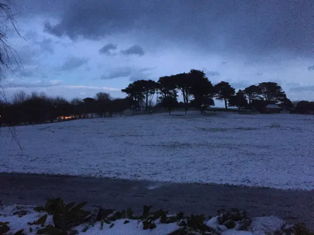 Snow on Delancey Park