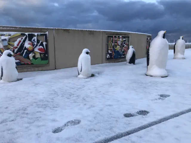 Snowy penguins at Redcar