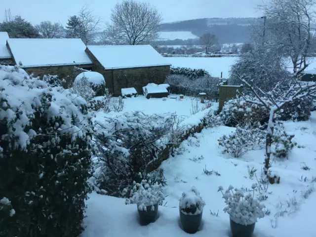 Snowy garden