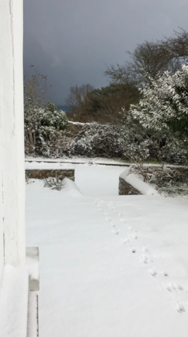alderney snow