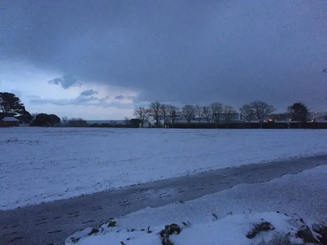 Snow on Delancey Park