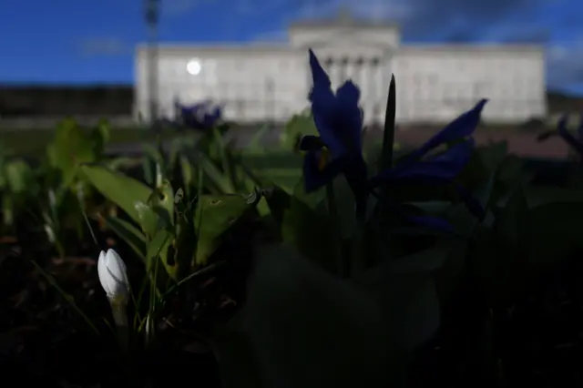 A flowerbed outside Stormont's Parliament Buildings