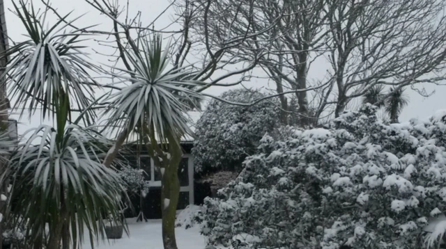 alderney snow