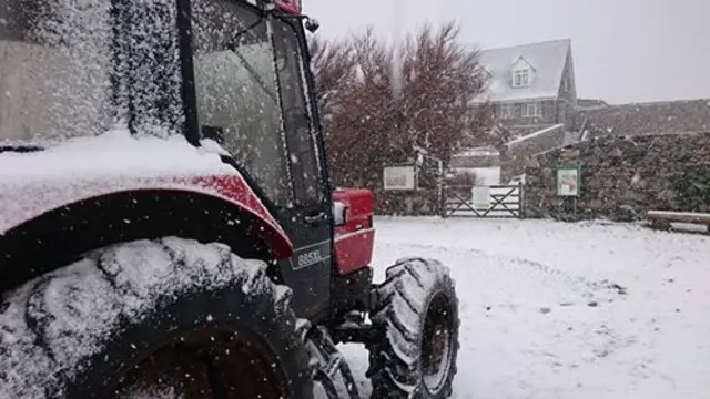 Lihou snow