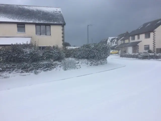 Snow in Lizard