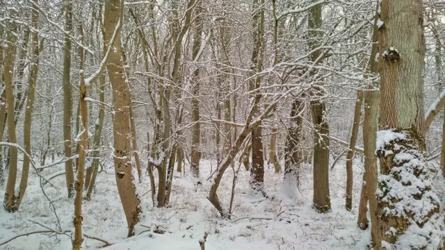 Snow in Glapthorn