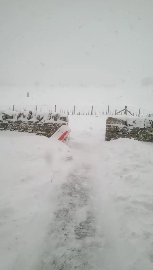 Snow near Frosterley