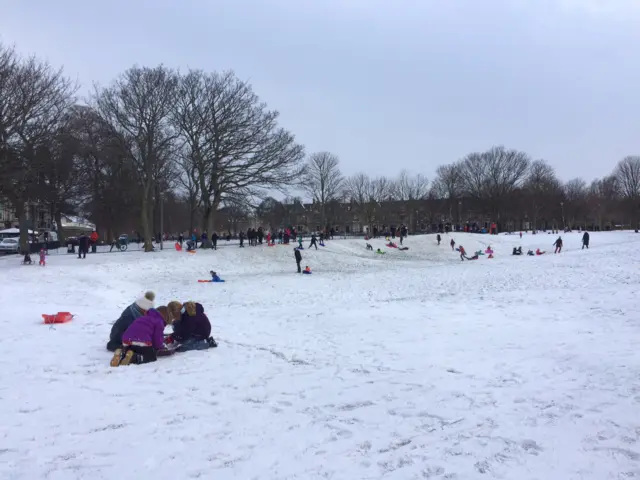 Sledging in Edinburgh park