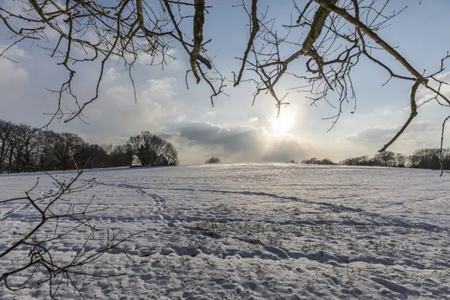 snow covered field