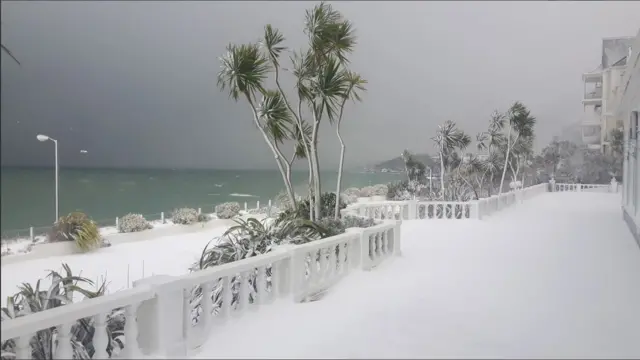 Falmouth Bay