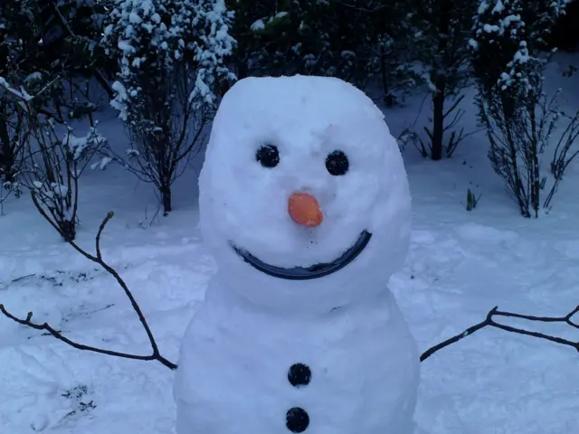 1st snowman of the day paisley