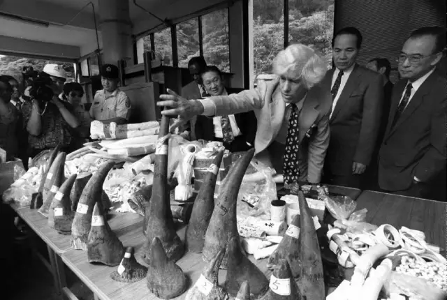 Dr Bradley-Martin inspects confiscated rhino horns, elephant tusks and ivory objects at the Taipei Zoo in 2004