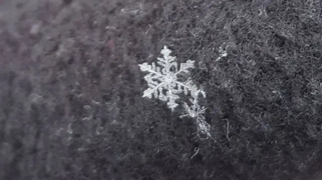 Snowflake