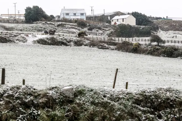 Light snow covers a field near Redruth